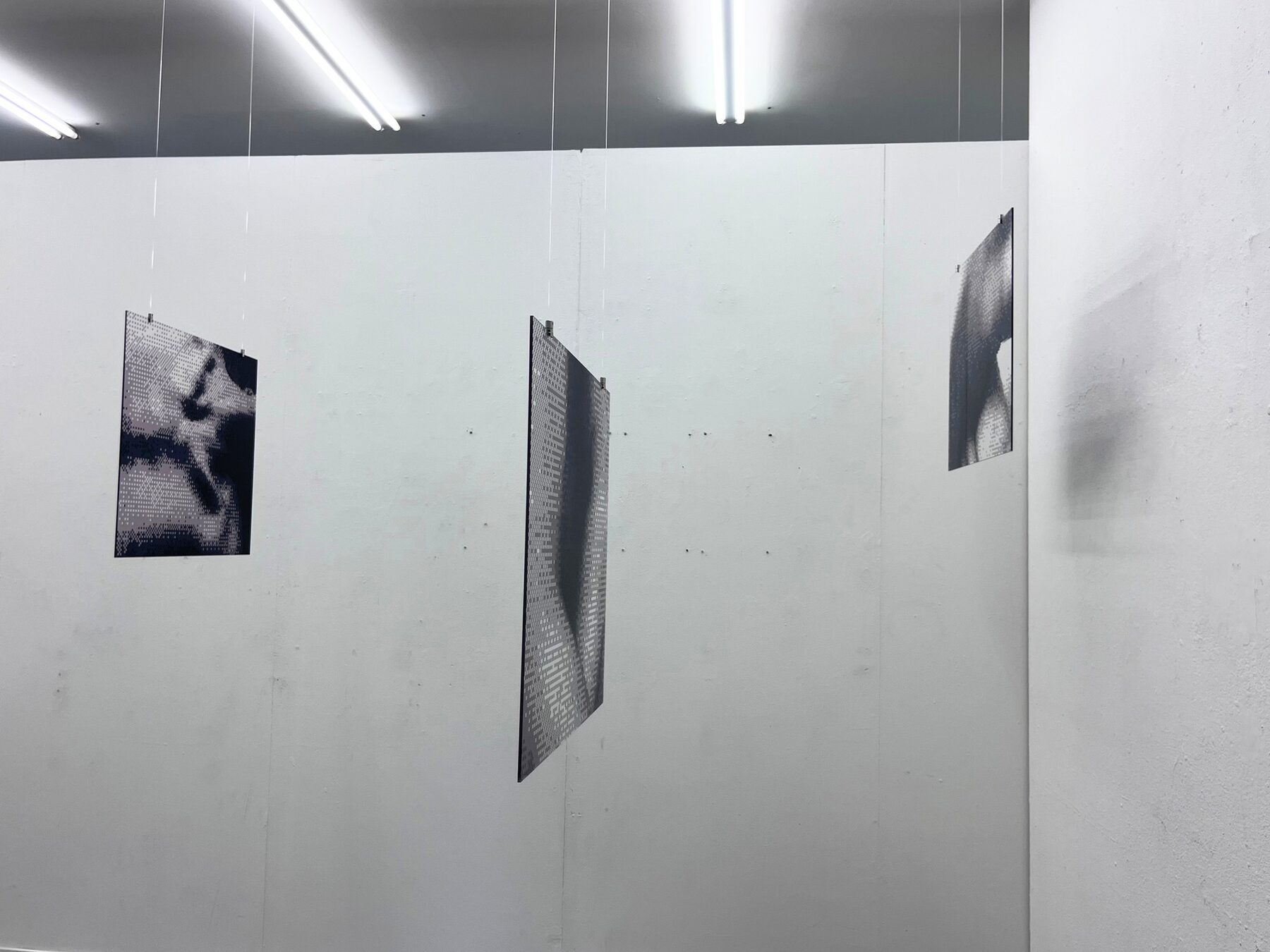 Gallery view with transparent photographs suspended away from the wall