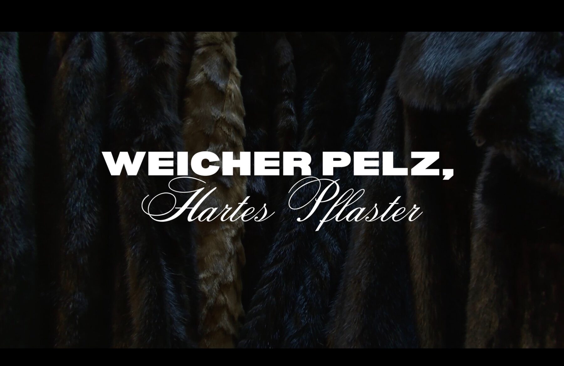 Film title over a dark close-up of fur